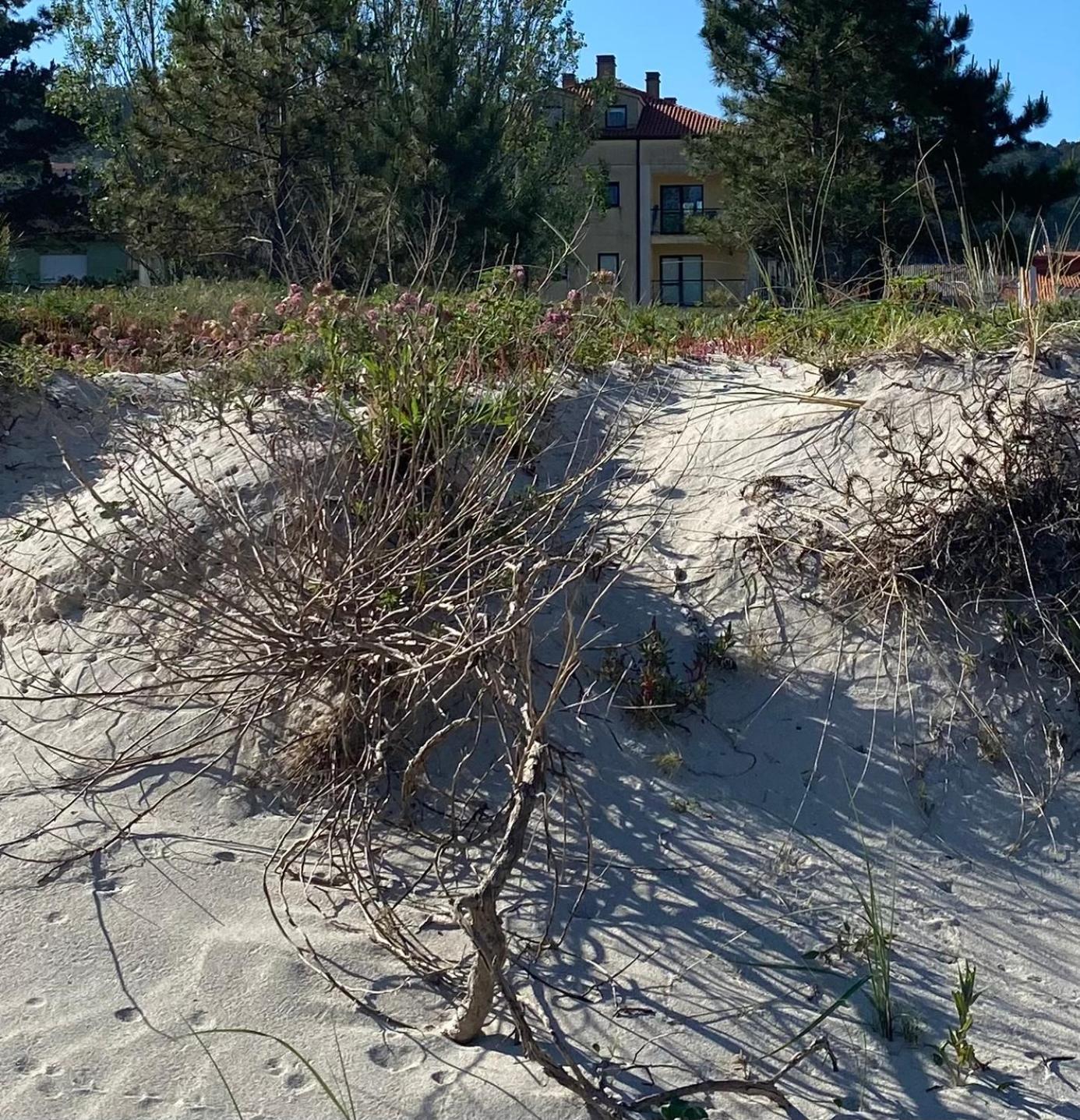 Apto Las Dunas De Langosteira En Finisterre Ngoại thất bức ảnh